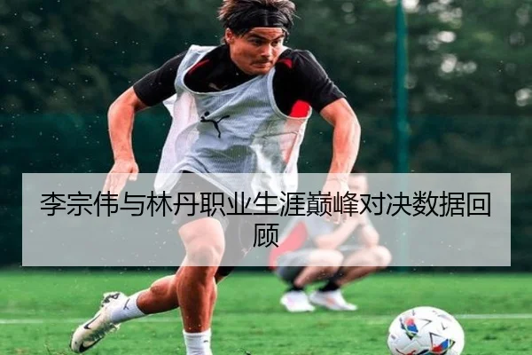 李宗伟与林丹职业生涯巅峰对决数据回顾