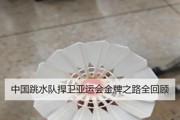 中国跳水队捍卫亚运会金牌之路全回顾